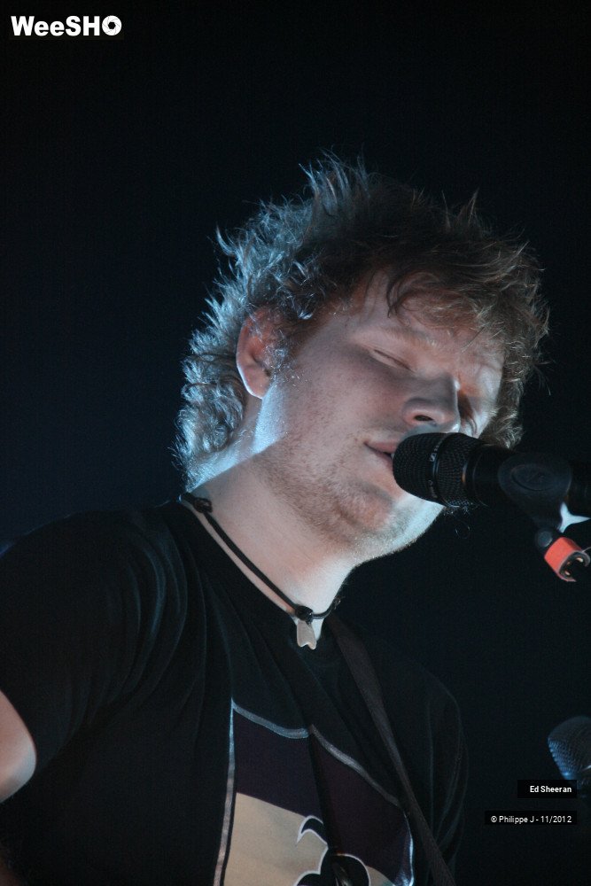 35/44 photos du spectacle Ed Sheeran