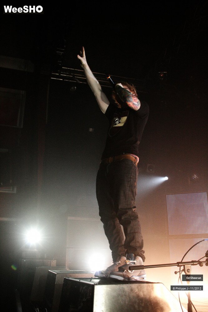 39/44 photos du spectacle Ed Sheeran