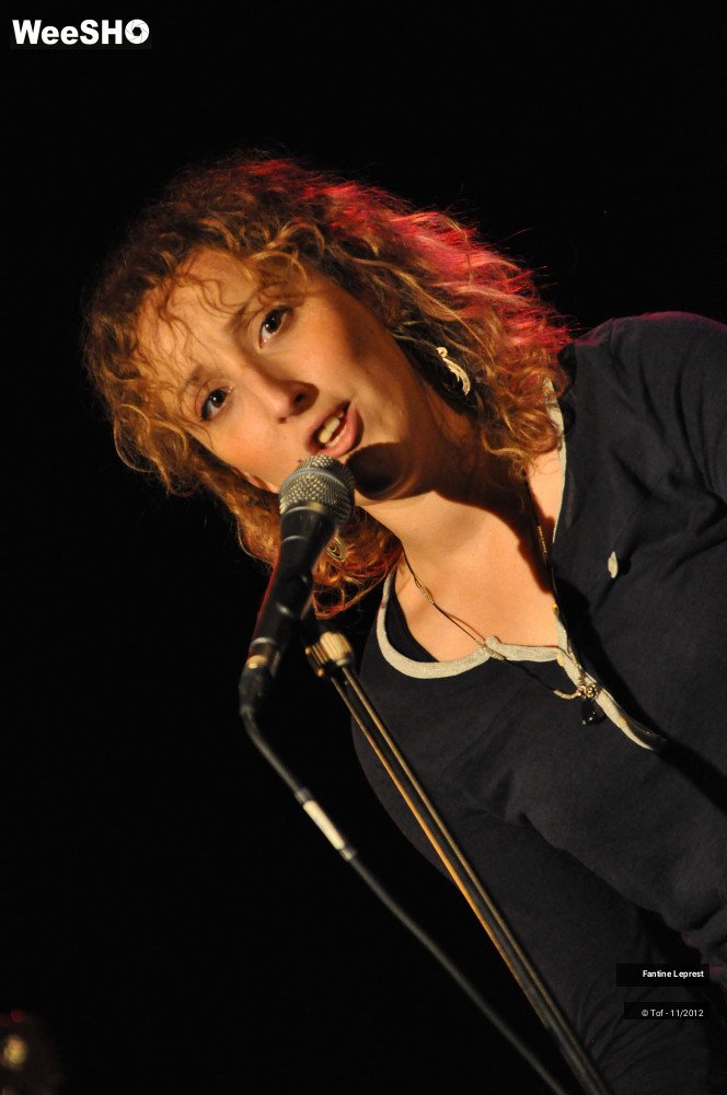 26/38 photos du spectacle Fantine