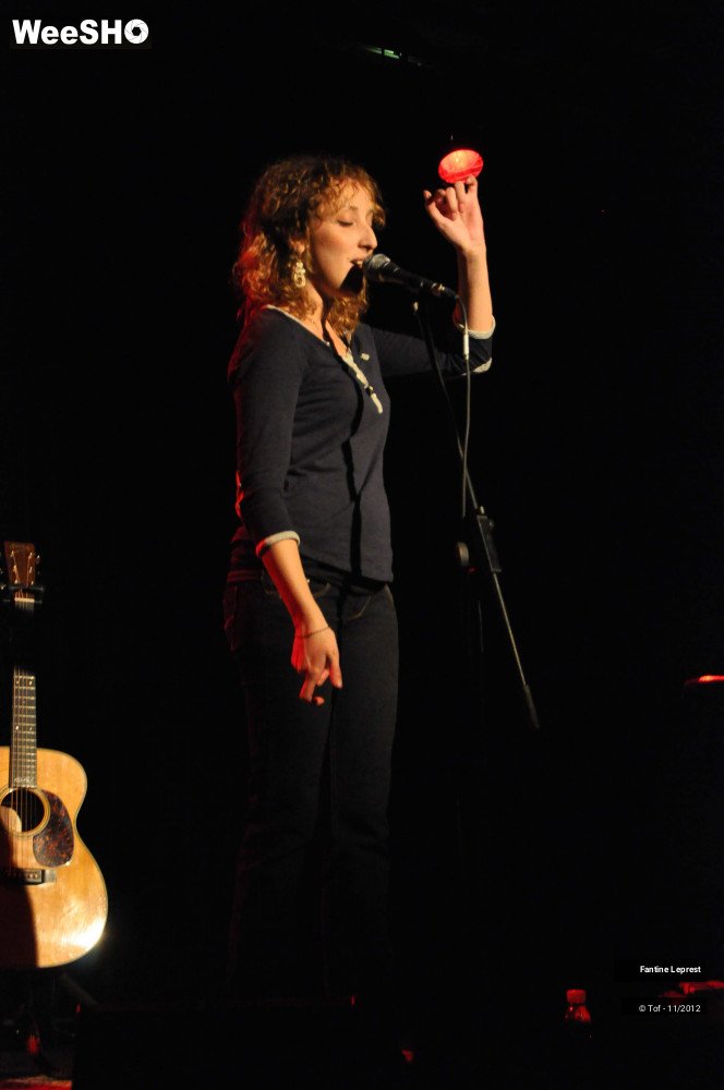 27/38 photos du spectacle Fantine