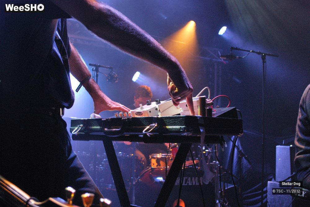 1/23 photos du spectacle Stellar Dog