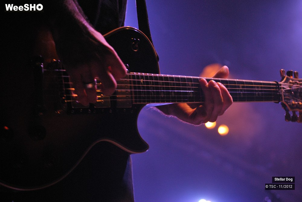 7/23 photos du spectacle Stellar Dog