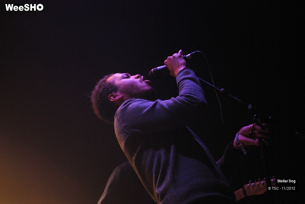 15/23 photos du spectacle Stellar Dog