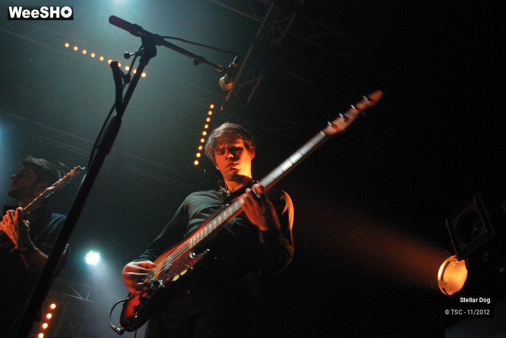 18/23 photos du spectacle Stellar Dog