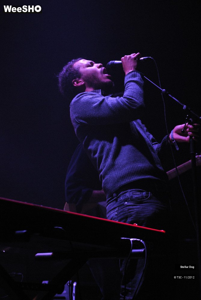 19/23 photos du spectacle Stellar Dog