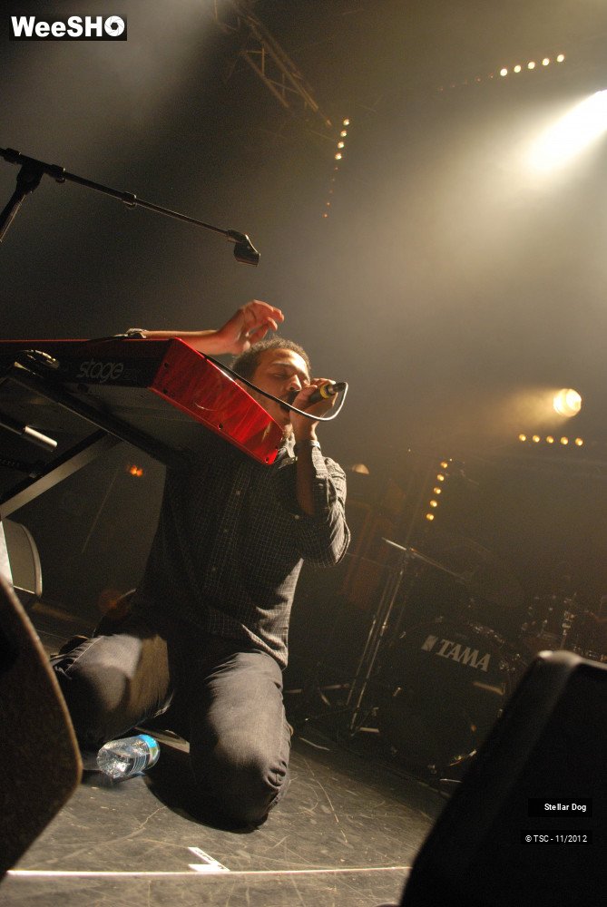 21/23 photos du spectacle Stellar Dog