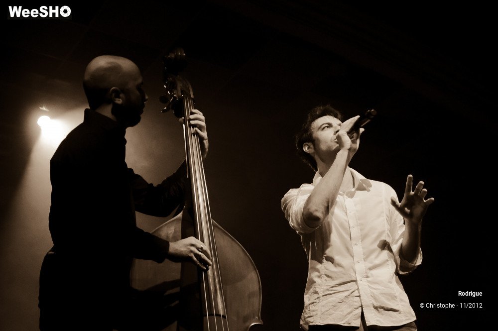 12/46 photos du spectacle Rodrigue