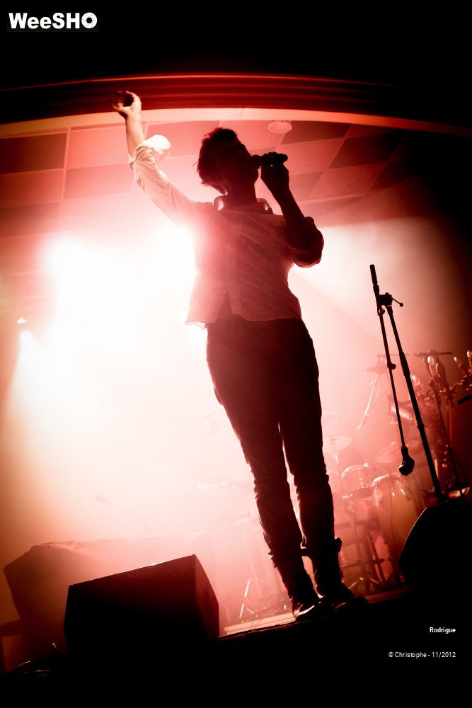 18/46 photos du spectacle Rodrigue