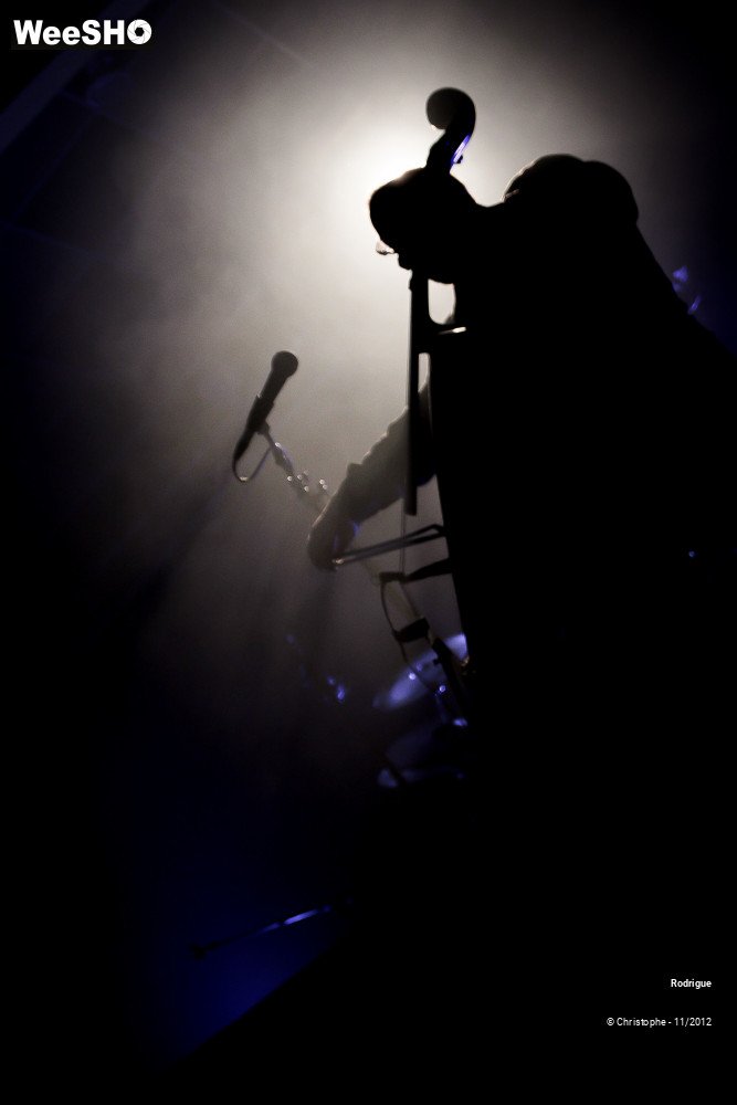 21/46 photos du spectacle Rodrigue