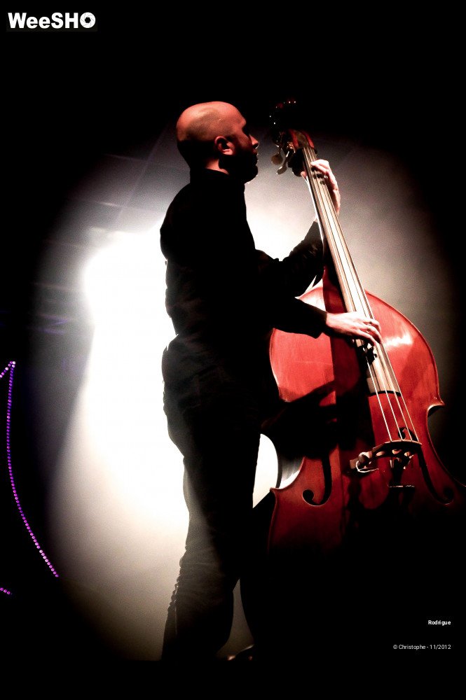 22/46 photos du spectacle Rodrigue