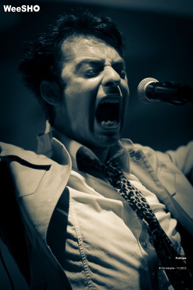 36/46 photos du spectacle Rodrigue