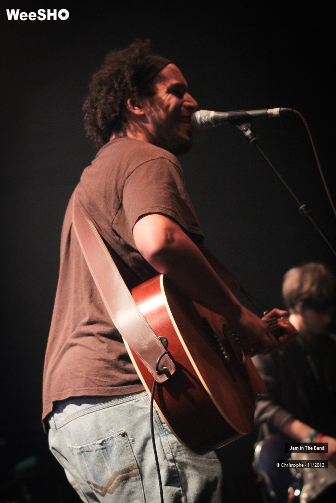 22/29 photos du spectacle Jam in the Band