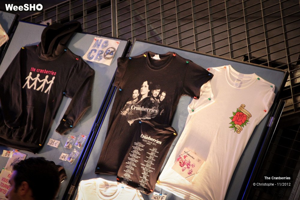 18/50 photos du spectacle The Cranberries