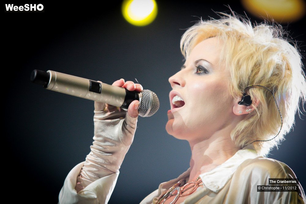 20/50 photos du spectacle The Cranberries