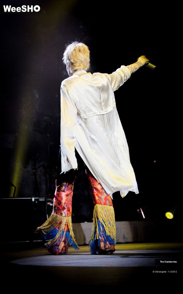 34/50 photos du spectacle The Cranberries