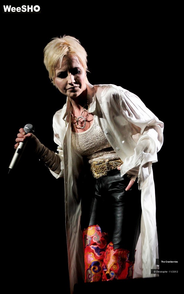 37/50 photos du spectacle The Cranberries
