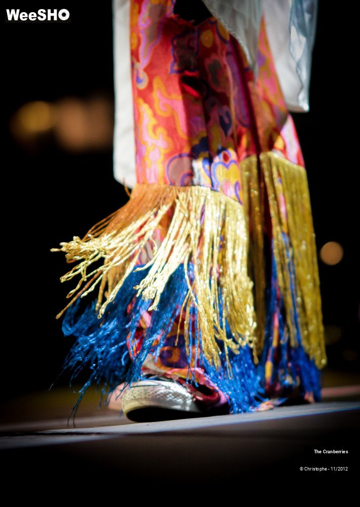 43/50 photos du spectacle The Cranberries