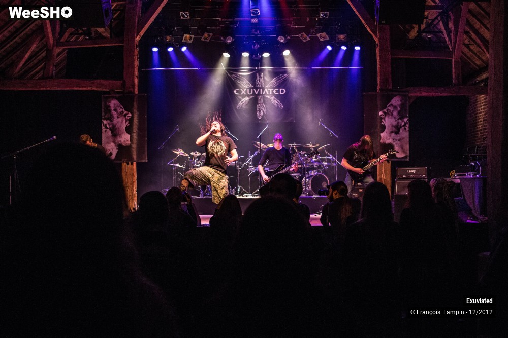 28/28 photos du spectacle Exuviated