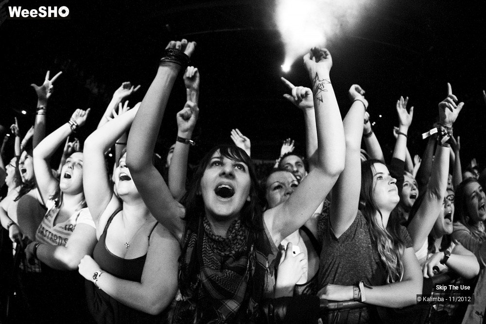 1/47 photos du spectacle Skip The Use