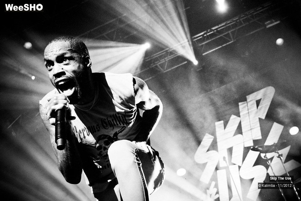 2/47 photos du spectacle Skip The Use