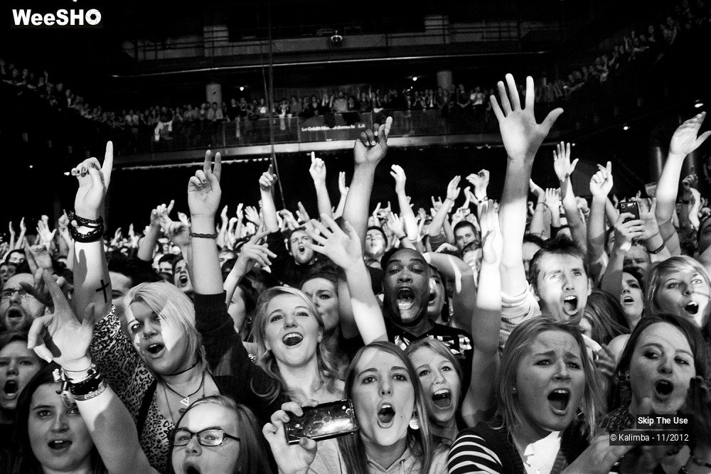 5/47 photos du spectacle Skip The Use