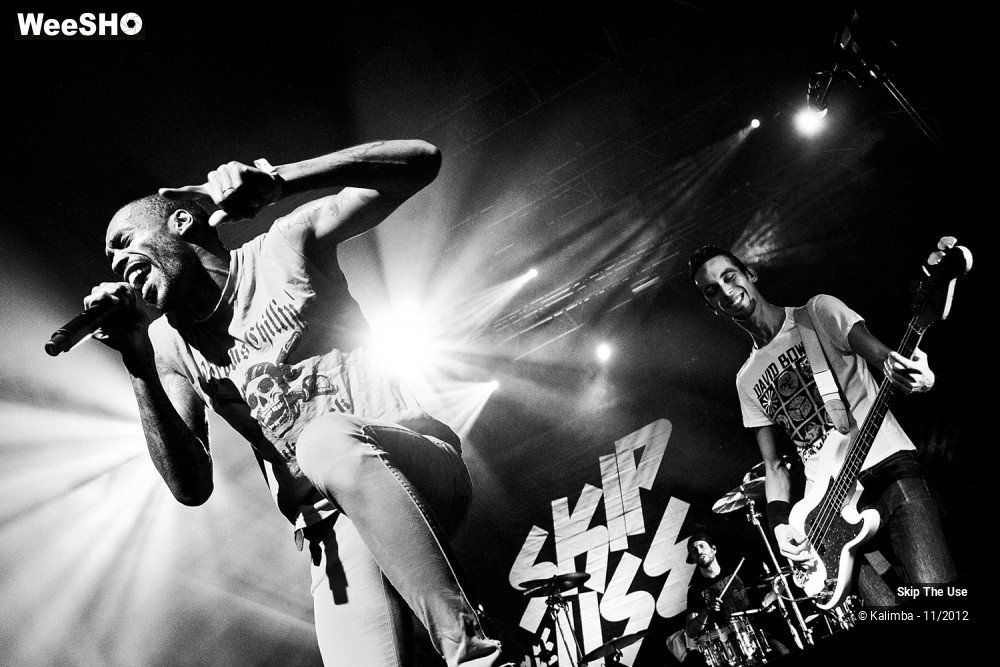 7/47 photos du spectacle Skip The Use