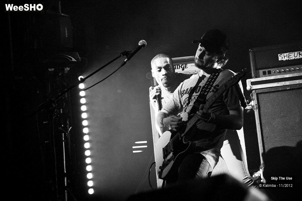 10/47 photos du spectacle Skip The Use