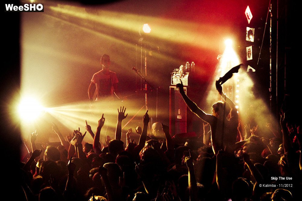 13/47 photos du spectacle Skip The Use