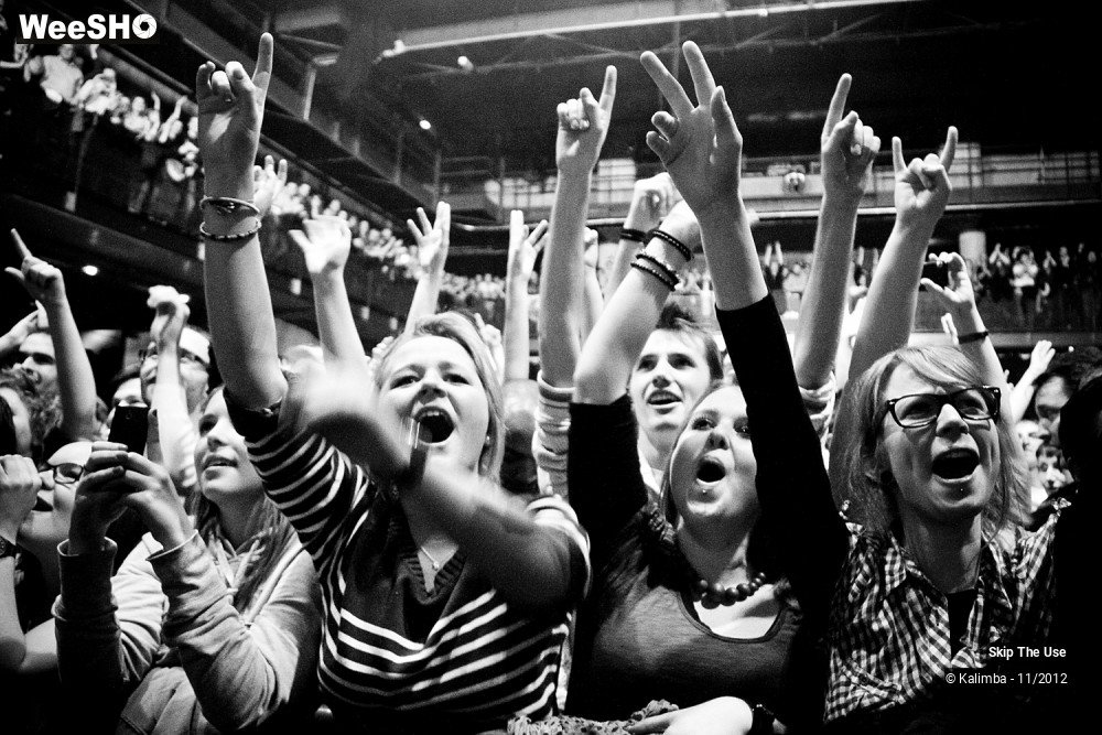 16/47 photos du spectacle Skip The Use