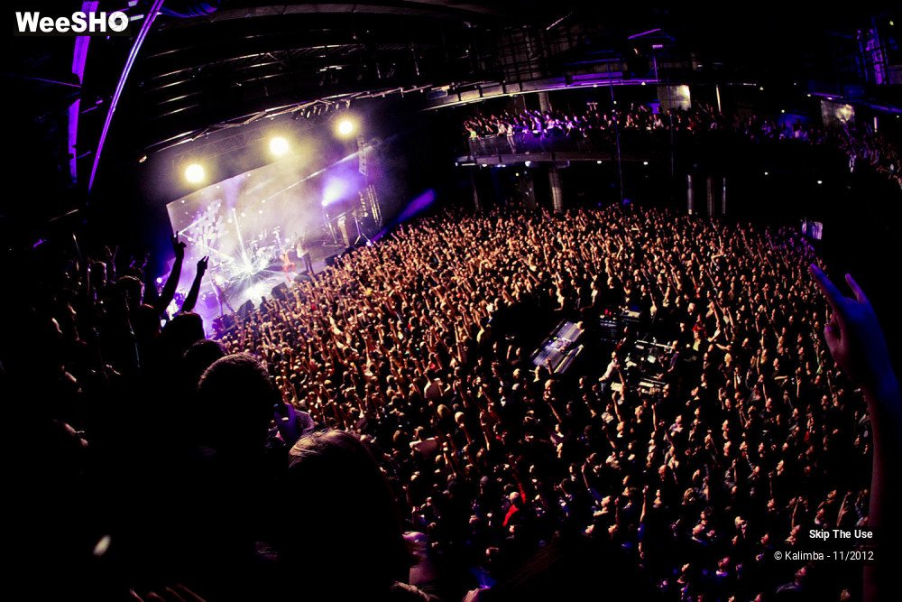 17/47 photos du spectacle Skip The Use