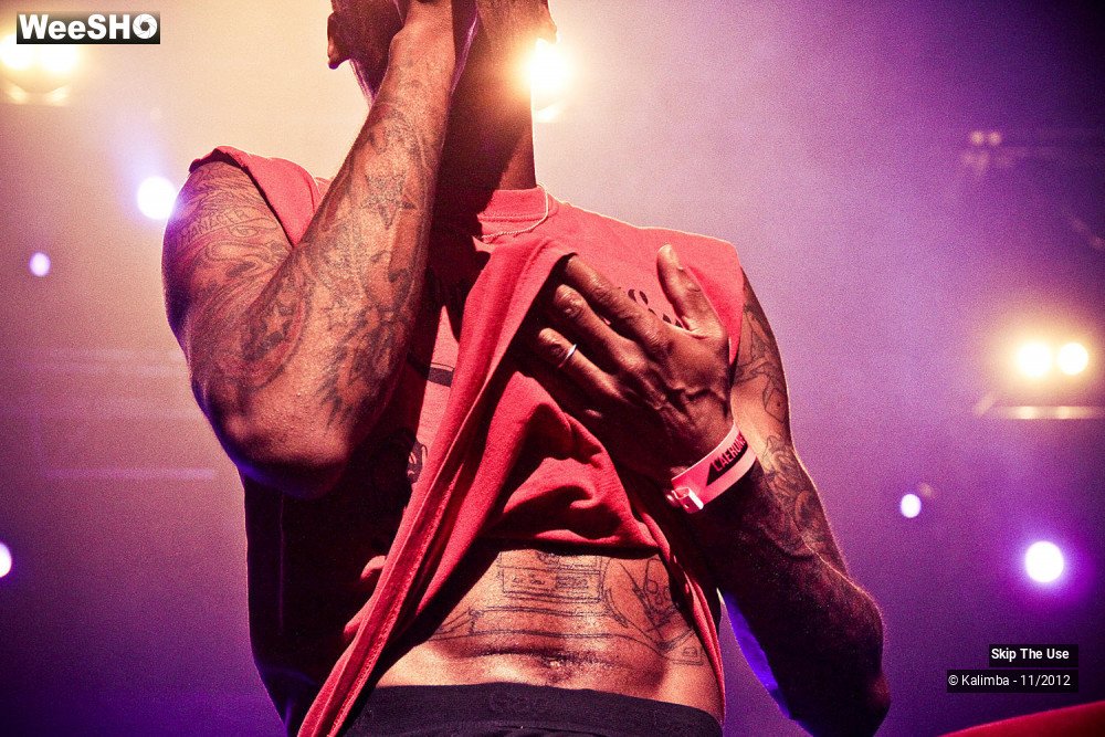 20/47 photos du spectacle Skip The Use