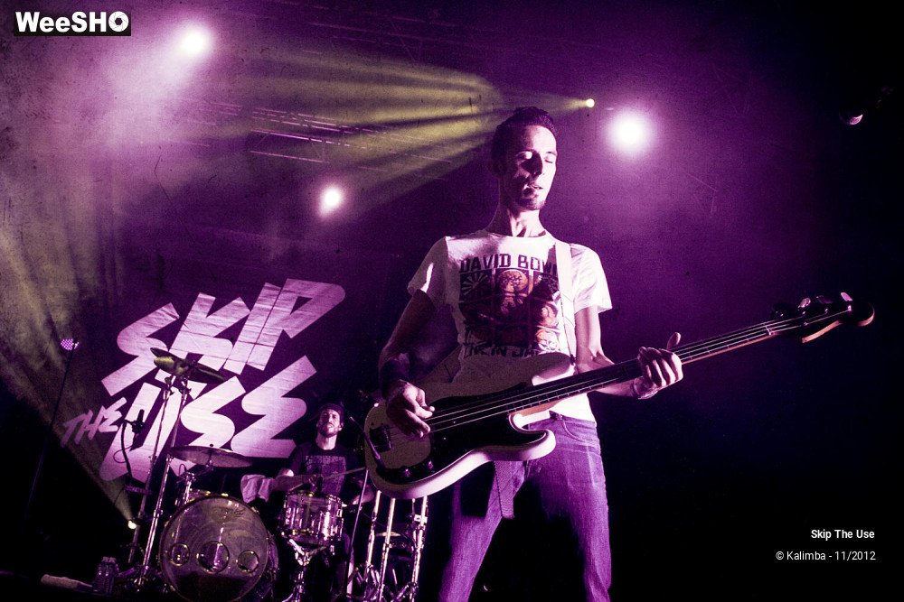 22/47 photos du spectacle Skip The Use