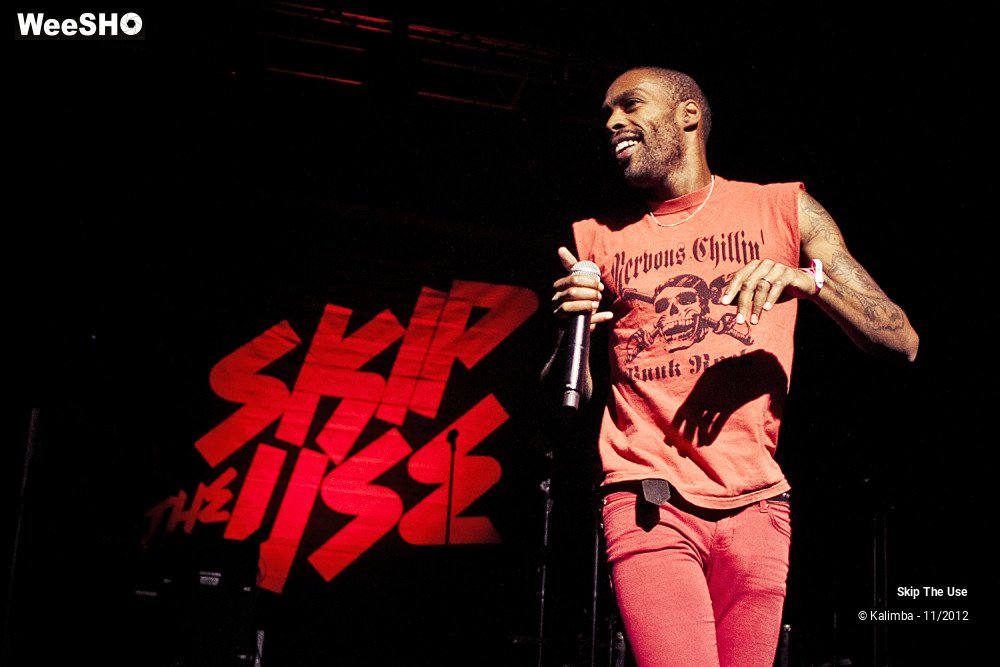 29/47 photos du spectacle Skip The Use