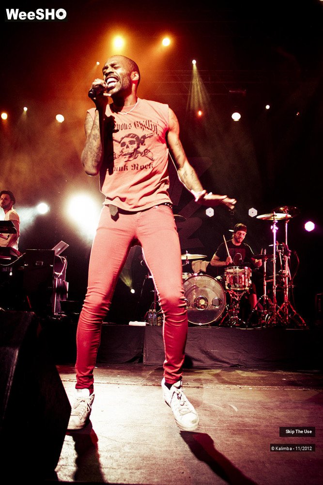 30/47 photos du spectacle Skip The Use