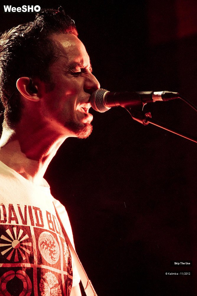 33/47 photos du spectacle Skip The Use