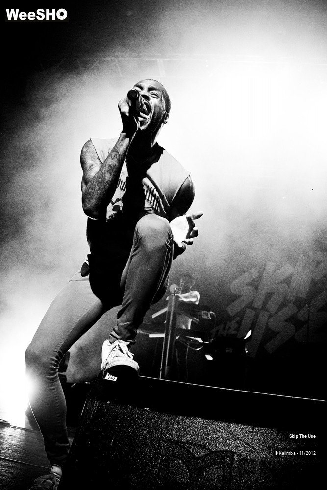 35/47 photos du spectacle Skip The Use