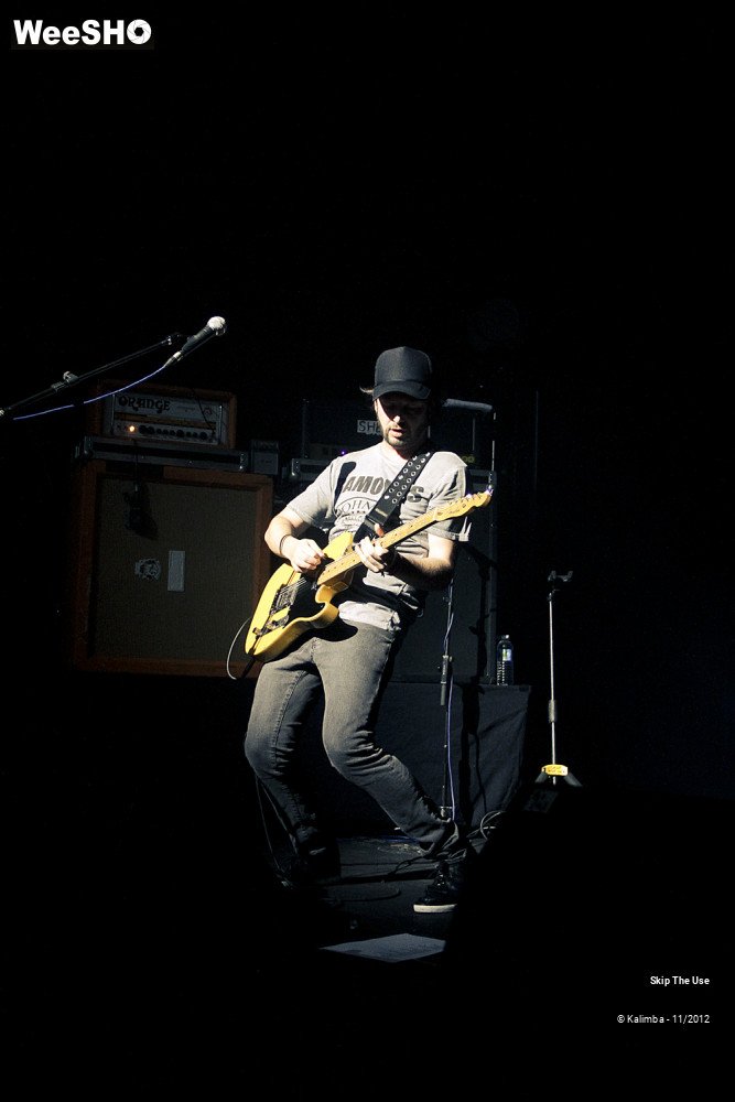 41/47 photos du spectacle Skip The Use