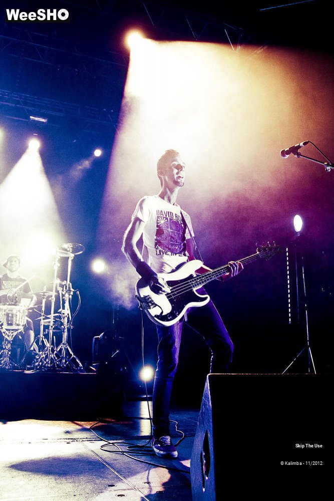 42/47 photos du spectacle Skip The Use