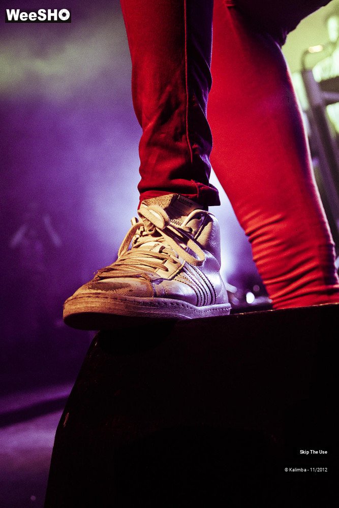 44/47 photos du spectacle Skip The Use