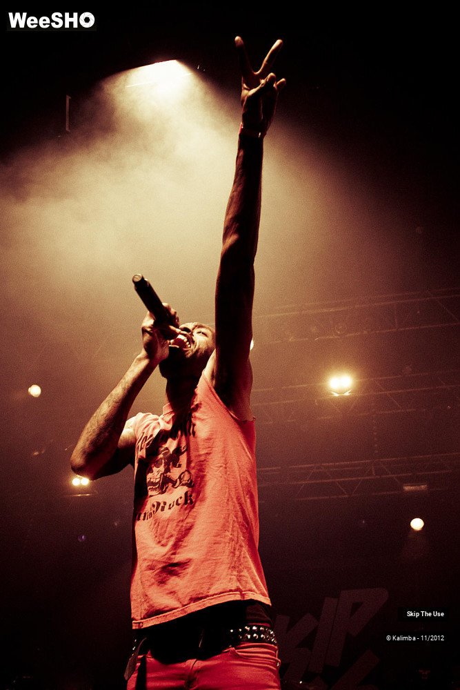 46/47 photos du spectacle Skip The Use