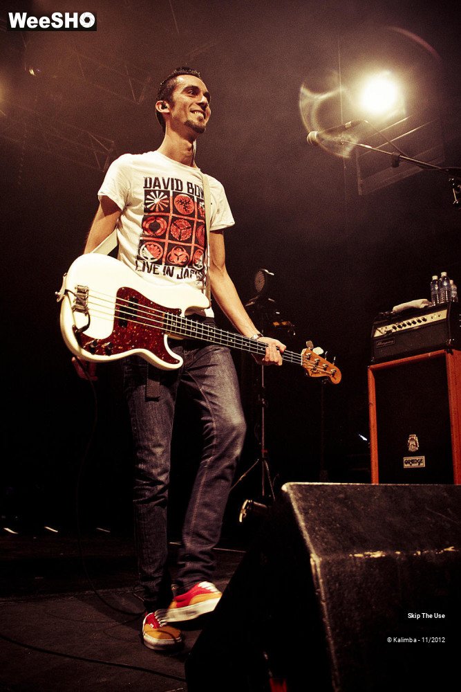 47/47 photos du spectacle Skip The Use