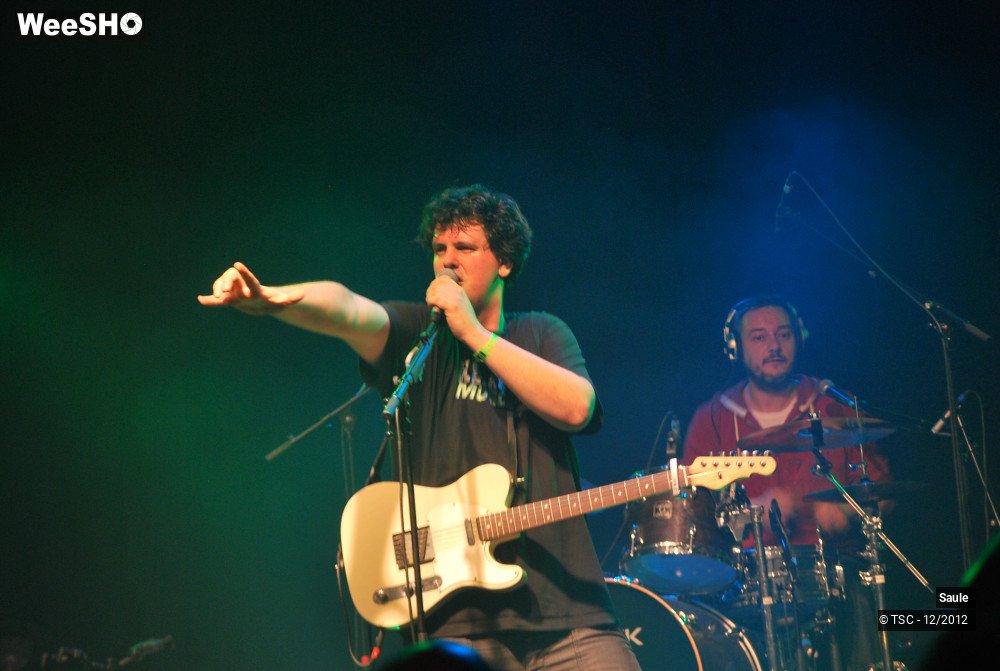 3/7 photos du spectacle Saule
