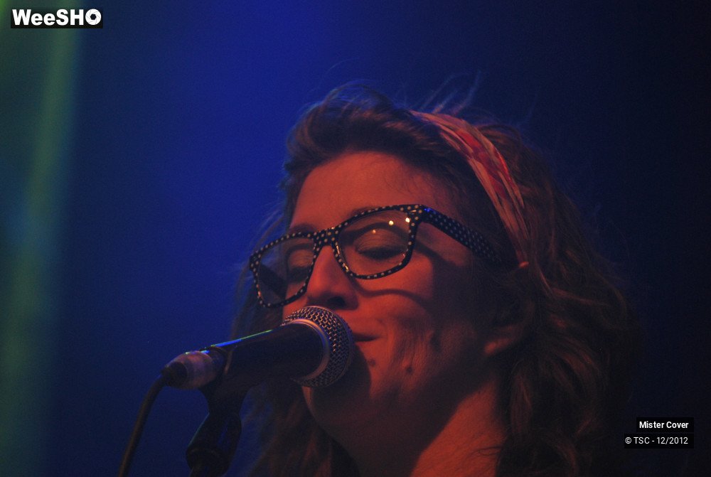 17/24 photos du spectacle Mister Cover