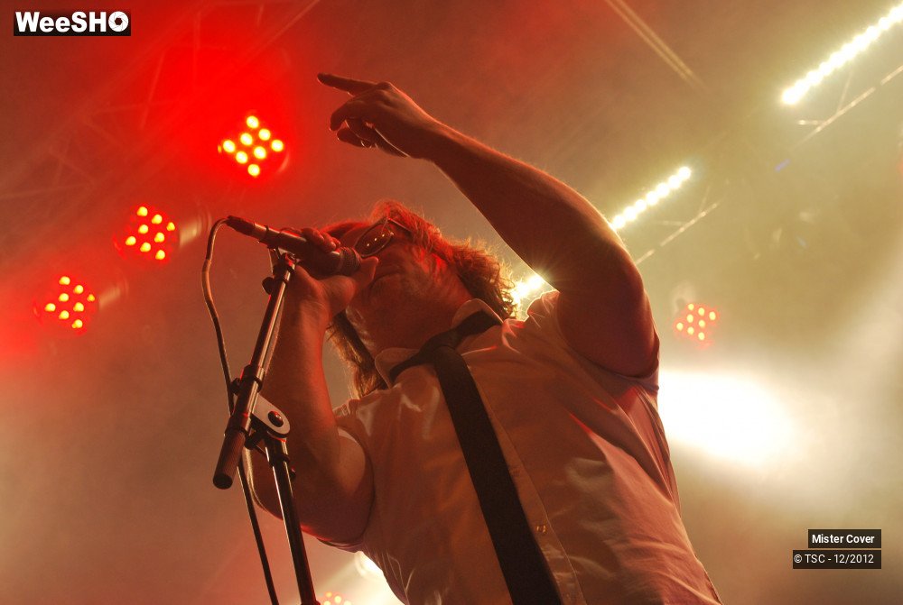 20/24 photos du spectacle Mister Cover
