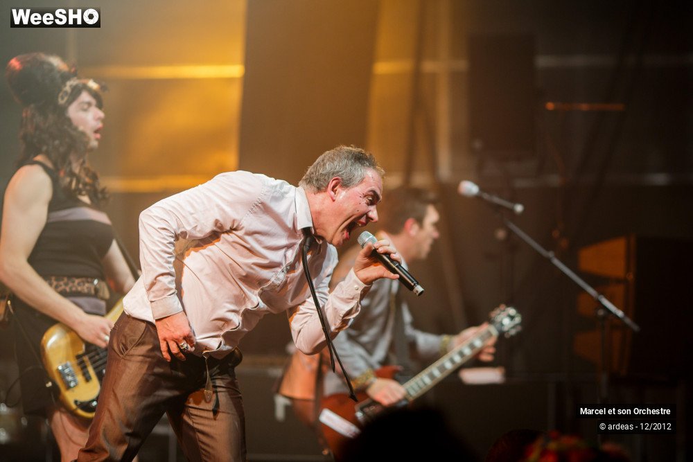 1/41 photos du spectacle Marcel et son orchestre