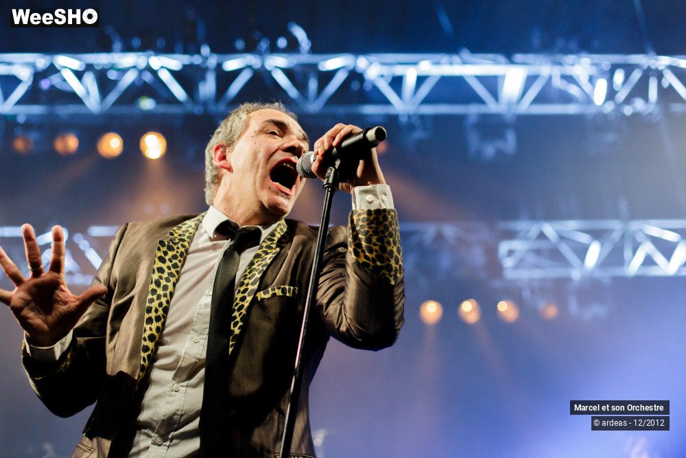 13/41 photos du spectacle Marcel et son orchestre