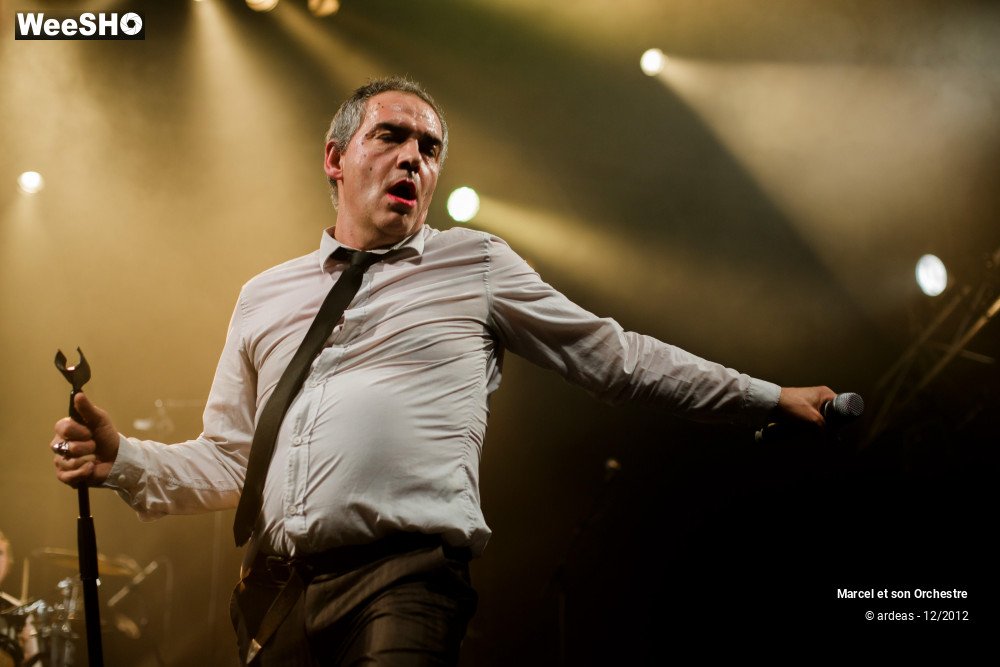 20/41 photos du spectacle Marcel et son orchestre