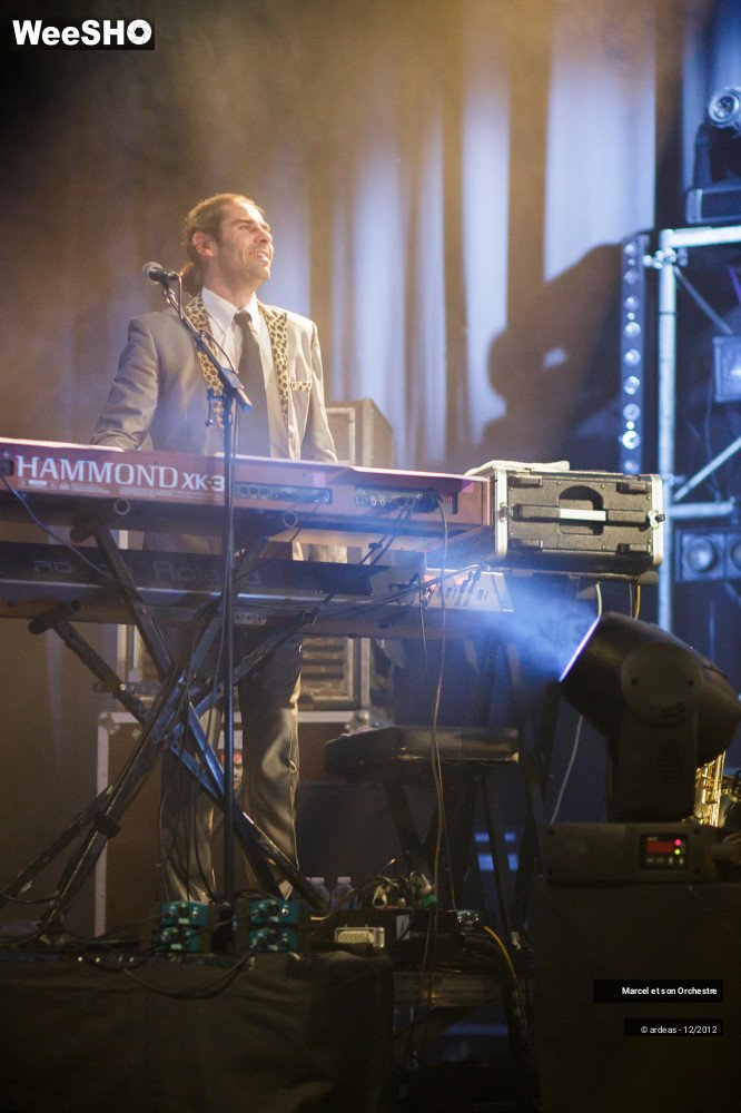 30/41 photos du spectacle Marcel et son orchestre