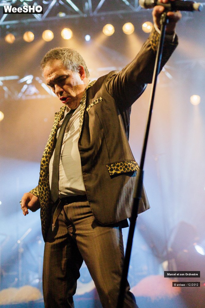 31/41 photos du spectacle Marcel et son orchestre