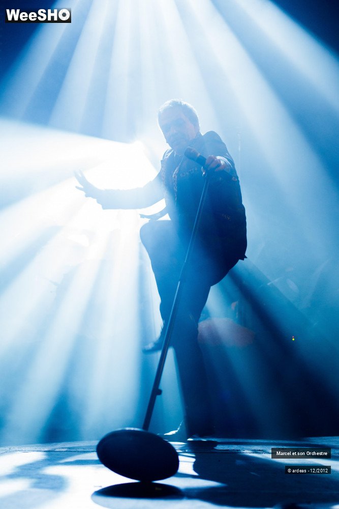 32/41 photos du spectacle Marcel et son orchestre